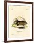 Gopher-null-Framed Giclee Print