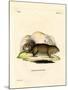 Gopher-null-Mounted Giclee Print