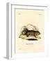 Gopher-null-Framed Giclee Print