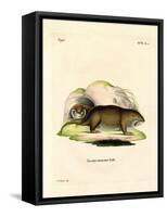 Gopher-null-Framed Stretched Canvas