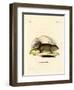 Gopher-null-Framed Giclee Print