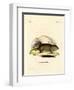 Gopher-null-Framed Giclee Print