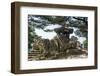 Goransa Temple in the Buso Mountain Fortress in the Busosan Park, Buyeo, South Korea, Asia-Michael-Framed Photographic Print