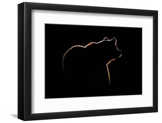 Premium Photographic Print, , large