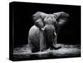 Stretched Canvas