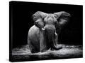 Stretched Canvas