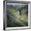 Gordale Scar, Yorkshire Dales National Park, North Yorkshire, England, United Kingdom, Europe-Roy Rainford-Framed Photographic Print