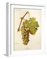 Gordan Grape-J. Troncy-Framed Giclee Print