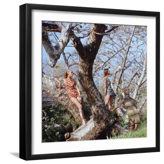 Photographic Print, , large