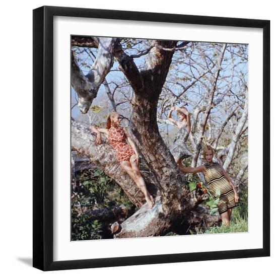 Photographic Print, , large