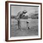 Brown Frame