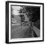 Black Frame