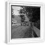 White Frame
