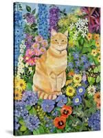 Gordon's Cat, 1996-Hilary Jones-Stretched Canvas