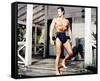 Gordon Scott, Tarzan the Magnificent (1960)-null-Framed Stretched Canvas
