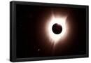 Essential Black