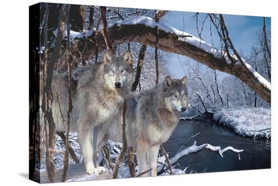 Stretched Canvas Print, , large