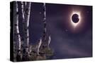 Stretched Canvas