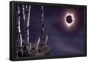 Essential Black