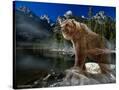 Stretched Canvas