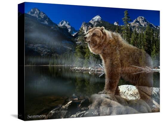 Stretched Canvas Print, , large