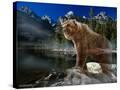 Stretched Canvas