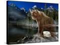 Stretched Canvas