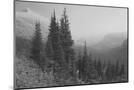 Wood Mount