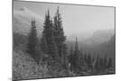 Wood Mount