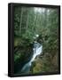 Essential Black