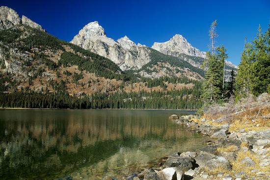 Premium Photographic Print, , large