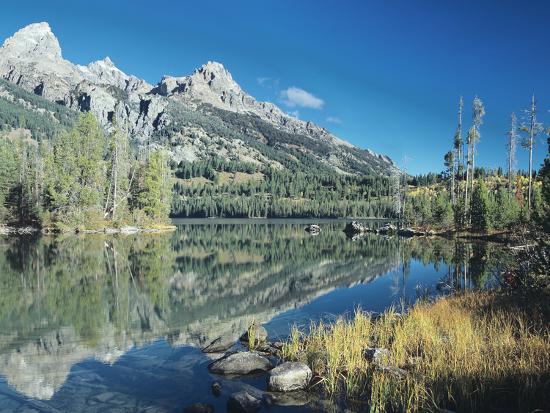Premium Photographic Print, , large