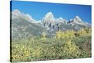 Stretched Canvas