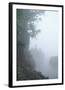 Chelsea Black