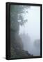 Essential Black
