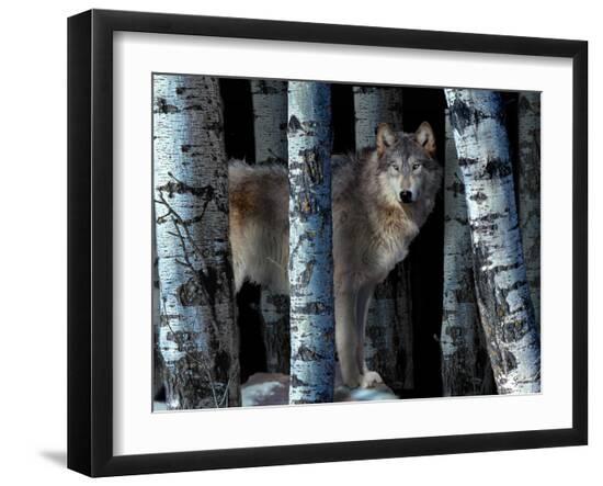 Premium Photographic Print, , large