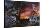 Stretched Canvas