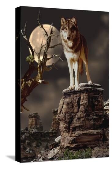 Stretched Canvas Print, , large