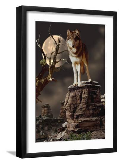 Premium Photographic Print, , large