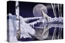 Stretched Canvas