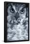 Essential Black