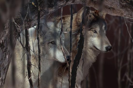 Photographic Print, , large