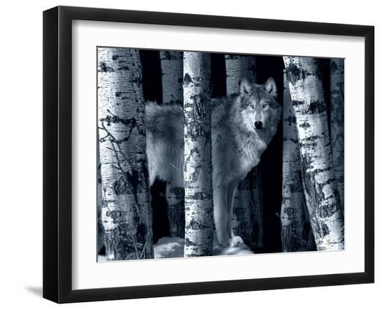 Photographic Print, , large