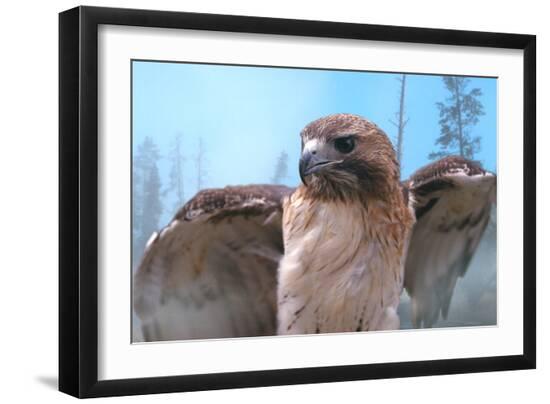 Premium Photographic Print, , large