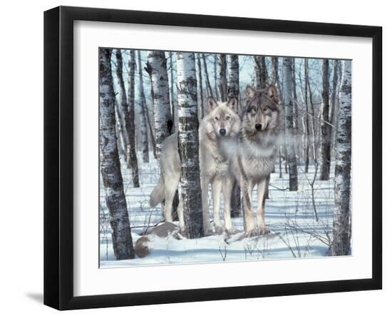 Premium Photographic Print, , large