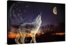 Stretched Canvas