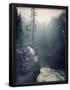 Essential Black