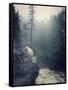 Canvas Black