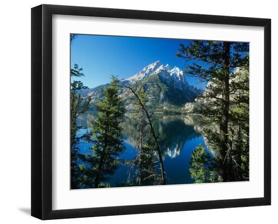 Premium Photographic Print, , large