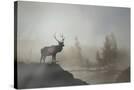 Stretched Canvas
